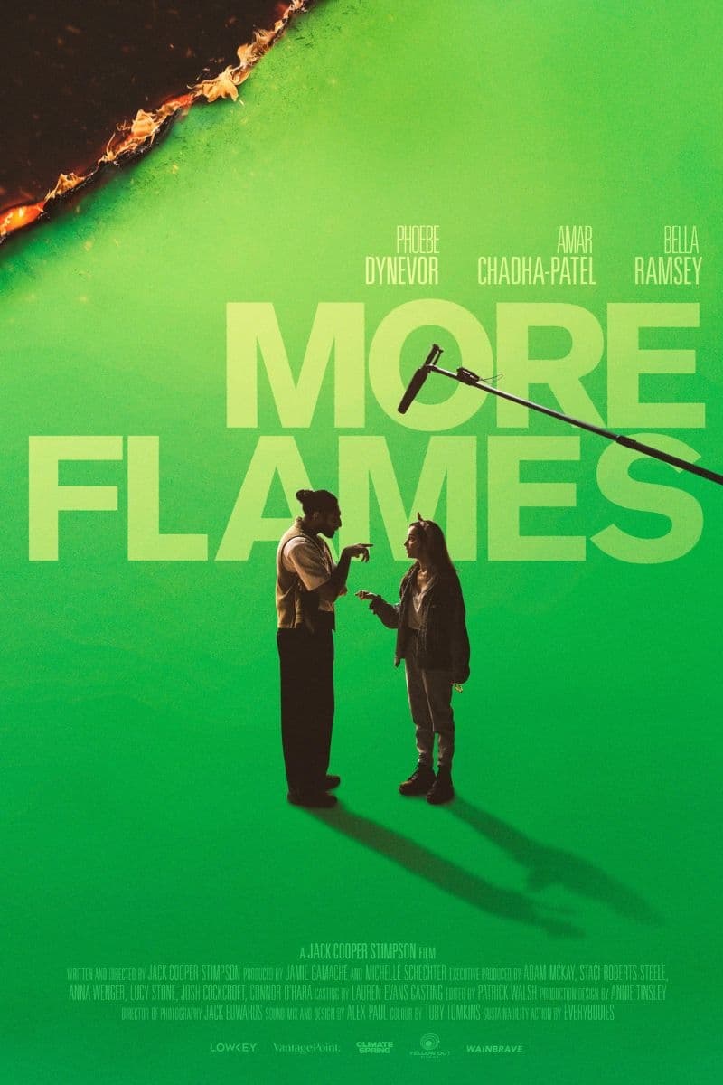 Постер More Flames